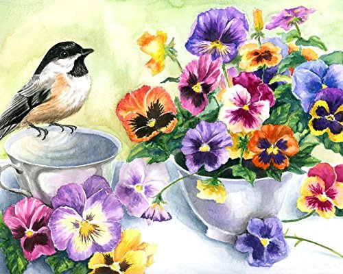 WOWDECOR Art Supplies Bird Pansy Flowers DIY Paint by Numbers Kits 40 x 50cm with Painting Brushes Canvas (Framed)
