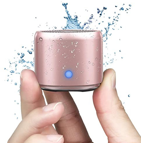 EWA Estuche de Transporte Incluido, Mini A106 Pro Altavoz portátil Bluetooth inalámbrico con Extra Bass, Impermeable IP67, con 12 Horas de Reproducción Lectura Senderismo Playa y Viajes (Oro Rosa)