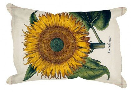 Rannenberg und Friends Schwamm Auto Fensterschwamm Make a Wisch (Siehste!) (Sonnenblume)