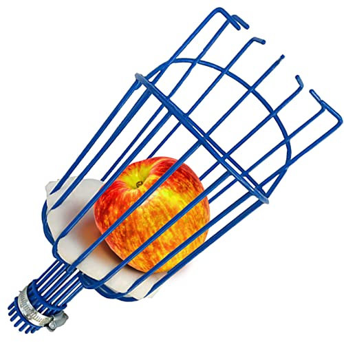 Raccogli Frutta Telescopico, Raccogli Ciliegie da Albero, Raccoglifrutta per Albicocche, Raccoglitori con Asta Regolabile 1.6 / 2.4 / 3.6m Harvesters Metallo Attrezzo per Mele Pere Limone (Ø 145mm)