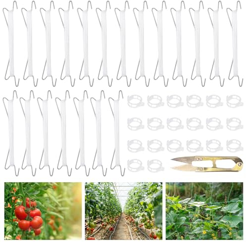 ZUYIST Lot de 20 crochets pour tomates, accessoires pour serres de tomates faciles à utiliser, clips pour plantes grimpantes pour plantes grimpantes, contient 20 cordes de levage