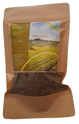 AJEDREA - Ajedrea Hierba- hierbas aromaticas - insusiones - ajedrea en rama- ajedrea-ajedrea especie-planta de ajedrea-ajedrea planta viva-ajedrea comun-ajedrea+planta-ajedrea hojas-Perenne.