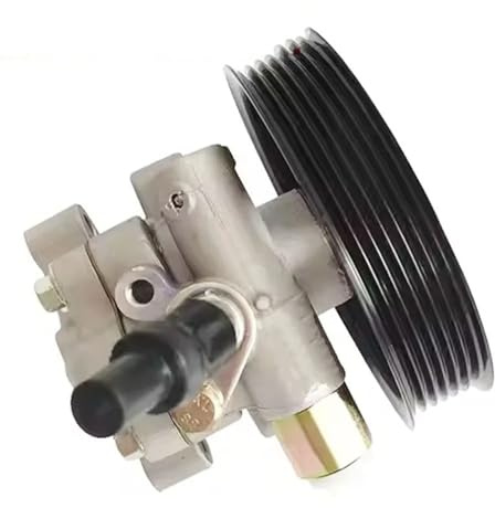 Pompa servo idraulica Per MAXUS Per A80 RV80 V80 C00114083 C00001264 Pompa Del Servosterzo