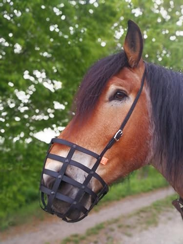 Heavy Horse Parts Fressbremse Strong EXTRA stabilen Bodenplatte mit kostenlosem Reparaturservice²