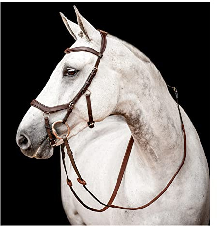 AMIGO Horseware Ireland Micklem CompBridle mit Zügel, Farbe: Dark Havana, Größe: Large Cob (SBMOM2-NAB0-LC)