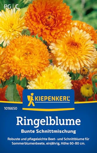Kiepenkerl Ringelblumensamen Bunte Schnittmischung 1016650 - Blumensamen Mischung für eine Beet- und Schnittblume und Inhalt für 80 Pflanzen - Saatgut