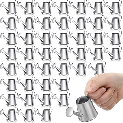 50 mini regaderas galvanizadas en miniatura para jardín, mini hervidores para manualidades, adornos de jardín, jardinería, paisaje, recuerdos de fiesta, 3.35 x 1.57 x 1.97 pulgadas, color plateado