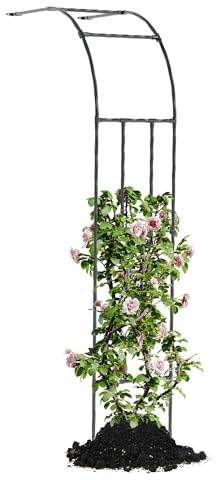 Caroeas Demi Arche de Jardin pour Plantes Grimpantes,60x240x40cm，Arceau Métallique pour Rosiers, Tonnelle Décorative Extérieure, Résistante à la Rouille et à la Décoloration