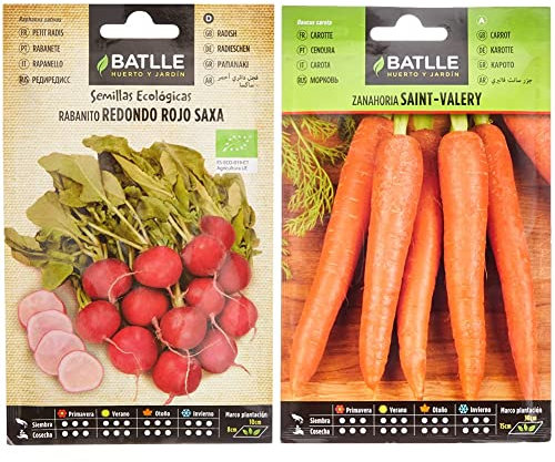 Rabanito Red rojo SAXA - ECO & Zanahoria SAINT VALERY