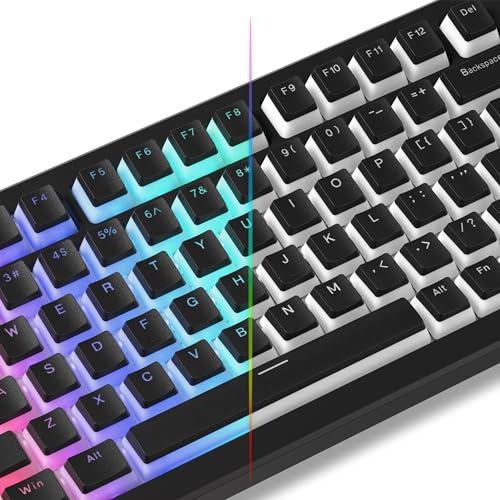 LQXQ Pudding Keycaps PBT 130 Tasten, Shine Through Tastenkappen, OEM Profil | für 100%, 75%, 65%, 60% MX-stem Switches Tastatur, Schwarz (ISO DE Nicht unterstützt)