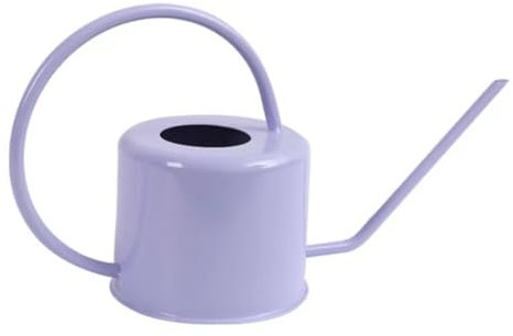 Annaffiatoio in metallo da 1,3 l, per piante da interno/esterno, beccuccio lungo, in acciaio inox, per piante grasse, bonsai, strumento da giardino viola