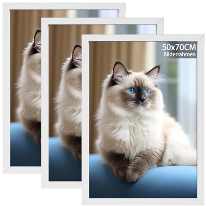 RUN HELIX 3 Pack Bilderrahmen 50x70, 50x70cm Bilderrahmen Weiß, Fotorahmen zum Aufhängen mit Poster, Posterrahmen Benutzt für Wohnzimmer, Schlafzimmer, Arbeitszimmer