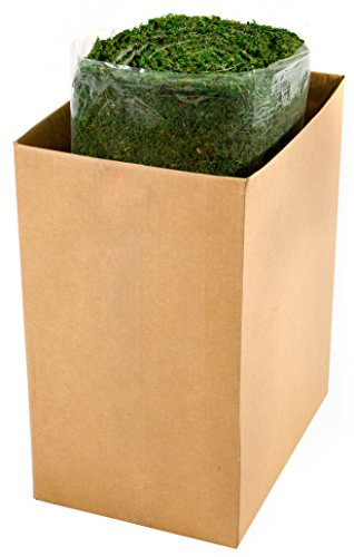 SuperMoss (22431) 1-1/2-Foot by 24-Foot Instant Green All Purpose Moss/Mat Runner