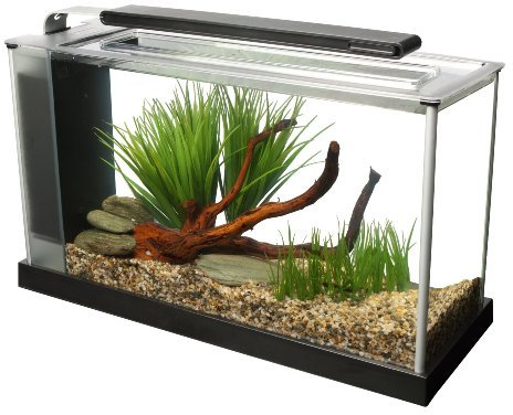 Fluval SPEC Aquarium Kit, Aquarium with LED Lighting and 3-Stage Filtration System, 5-Gallon