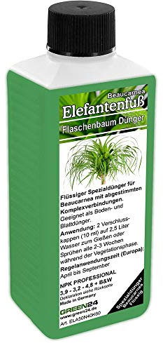 GREEN24 Elefantenfuß Dünger 250ml | Spezial-Flüssigdünger für Beaucarnea recurvata | Für dicken Caudex, kräftigen Wuchs & sattgrüne Blätter | Sukkulenten- & Flaschenbaum-Pflege