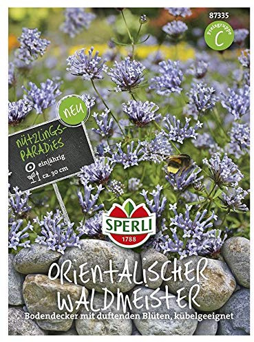 Sperli Waldmeister Orientalischer Saatgut
