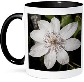 3dRose Decorative colorful garden botanic classic plant clematis white flower 11oz Two-Tone Black Mug