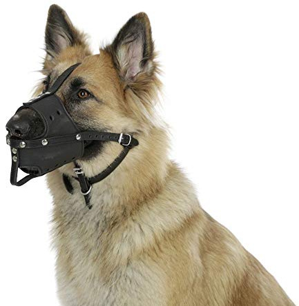 Kerbl Pet Leder Maulkorb L, schwarz, U 30cm, Korbtiefe 8,5cm