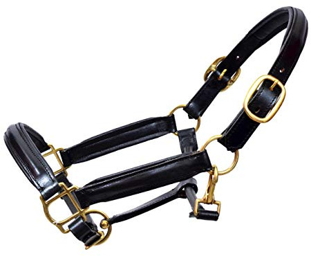 Aces Equine Pferdehalfter aus Leder, komplett erhöht, gepolstert, Messing, Größe X-Full, Full, Cob, Pony (X-Full)