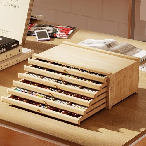 lesolar 6-Drawer Artist Supply Storage Box,Beech Wood Art Storage Box with Removable Drawers,Portable Paint Brush Holders with Drawer for Paints, Pastels, Pencils, Brushes and Art Supplies