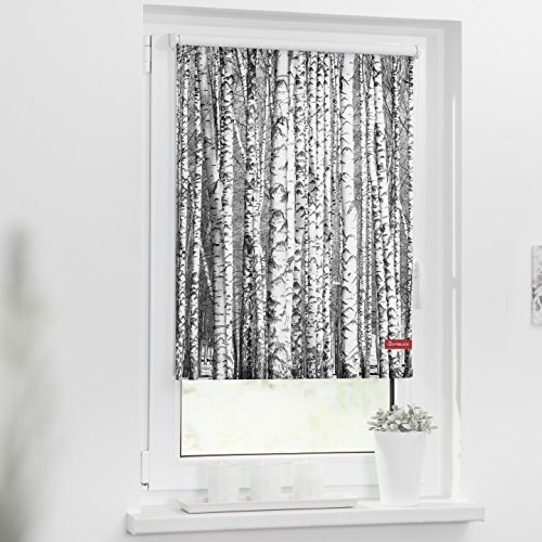 Lichtblick Klemmfix Tageslicht-Rollo mit Motiv, ohne Bohren, Blickdicht, Seitenzugrollo, Made in Germany, Birken - Schwarz-Weiß 45 x 150 cm (B x L)