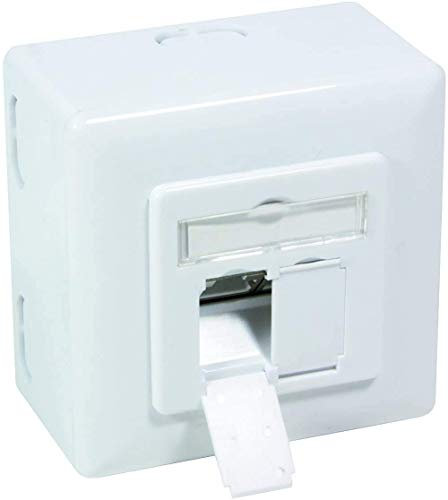 BIGtec Network socket CAT6a LAN socket universal surface-mounted box flush-mounted box cable duct for installation cable network cable CAT7 CAT6 CAT5 CAT6a, 2 x RJ45 white surface-mounted