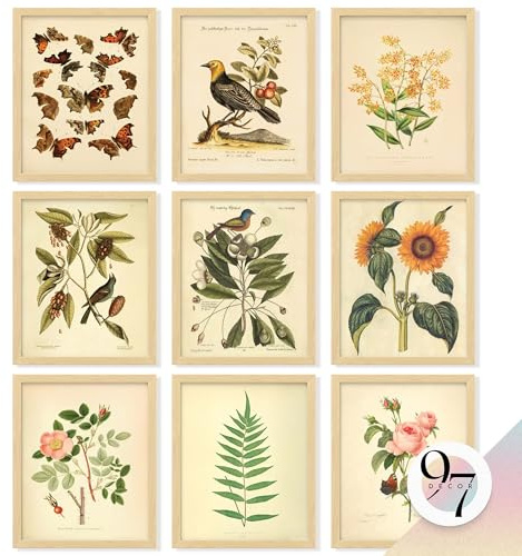 97 Decor Decorazione artistica da parete vintage botanica, poster con piante per l'estetica della stanza, stampe botaniche vintage, decorazione da parete, immagini floreali, farfalle e uccelli, per la