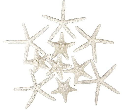 Jangostor 12 PCS Starfish 2-6 Inch Mixed Starfish Natural Seashells Starfish Star Fish Shells Decorations Perfect for Wedding Decor Beach Theme Party, Home Decorations, DIY Crafts, Fish Tank