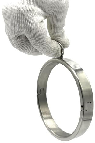 Soarvlorfy SM Edelstahl Metall Halsband Bondage Choker Abnehmbaren O-Ring Slave Fetisch Rollenspiel Halsfessel mit Traktionsring Halsreif Extrem Fesseln Sex toys für Männer Frauen,Silber,Ø 13.6cm