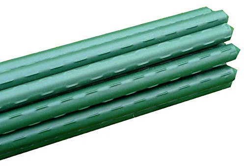 GardenSkill Garden Plant Stakes - Plastic-Coated Metal Plant Supports for Vegetables Flowers Fruit (11mm dia x 0.75m, Pack 20)