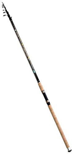 Lineaeffe Toro Revolution 4.20 m Up to 100 g Englische Angelrute Posen Meer See Fluss