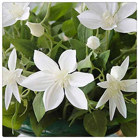 Lmy0624 Artificial Flowers Branches Clematis Florida Vivid Artificial Flowers Plant Home And Garden Decoration 69cm