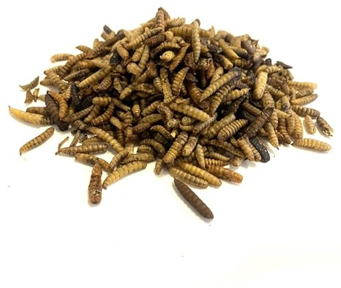 Dried Calciworms 2kg Premium Wild Bird & Hedgehog Food