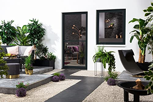 Insektenschutz Fliegengitter Fenster Alurahmen Culex PROFI QUALITÄT Master Slim 3 Farben 4 Größen SLIM NEU 1A Profiqualität (80x100, anthrazit)