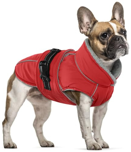 Hundejacke Mittelgroße Hunde, Hundejacke Wasserdicht Hundemantel Fleece Hundepullover Mittelgroße Hunde Winter Warme Hundebekleidung(Rot, M)