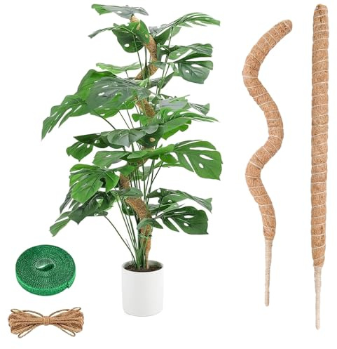 4-Stücke Moosstab Set, 2 X 60cm Biegsame Monstera Rankhilfe Hanfseil Und Zubehör Für Kletterpflanzen, Moosstab Für Monstera, Rankhilfe Monstera, Für Indoor-Klettern Von Pflanzen Pflanzenstab