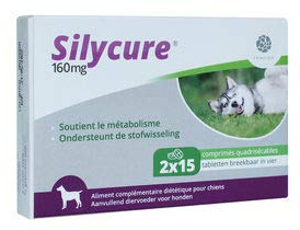 Fendigo Silycure 160 mg - 30 comprimidos