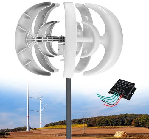 Aerogenerador de 10 000 W con Controlador, 5 Palas con Ajuste automático de dirección de barlovento, para alumbrado público doméstico, Barcos y terrazas, Blanco, 24 V