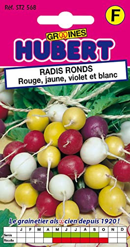 Graines de Radis Ronds en Mélange de Couleur - 8 grammes