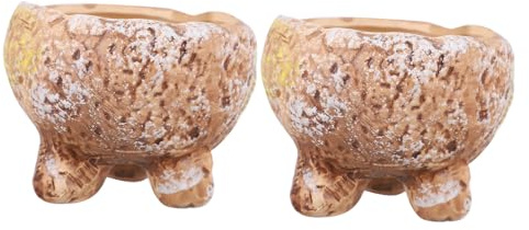 BEBEMOKO Maceta De Cerámica Pintada a Mano para Suculentas y Cactus 2 Piezas Decoración Moderna para Escritorio Tamaño Pequeño Estilo Único Adecuado para Bonsáis