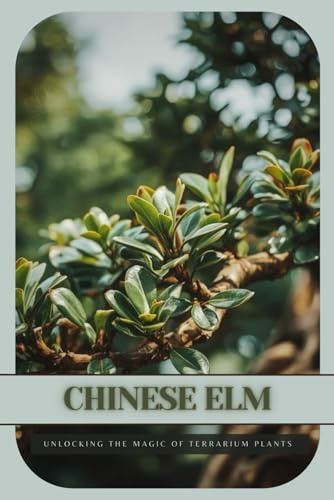 Chinese Elm: Ultimate Starter’s Guide to Bonsai Tree