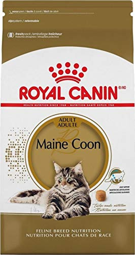 Royal Canin Maine Coon 31 Katzenfutter, 10 kg