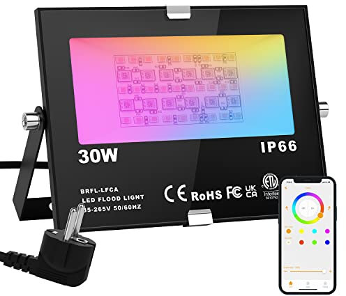 ChangM RGB Projecteur LED Exterieur 30W contrôlé par smartphone Bluetooth, Intelligente RGB Spot LED de Couleur, IP66 Etanche, 20 Modes 16 millions Couleurs, pour Terrasse, Jardin et Garage