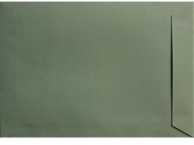 Netuno 25 Versandtaschen DIN C5 Grün 162 x 229 mm 110g Design Eko Briefkuverts groß a5 Briefumschläge Öko Papier farbige Versandtaschen groß haftklebend ohne Fenster Recycling Umschläge c5