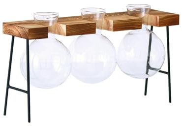 Modern Glass Hydroponic Vases with Wooden Stand, Clear Glass Bulb Shape, Iron Metal Frame, Propagation Station for Plants, 3-Piece Set