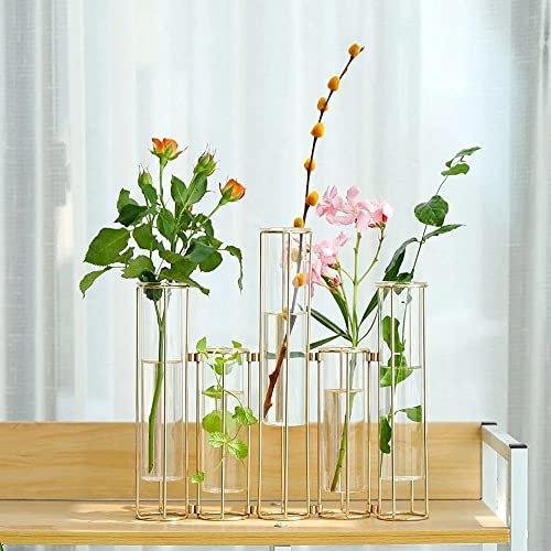 Reagenzglas-Vase für Blumen, Glasvase mit Metallständer, Hydrokultur-Reagenzglasvase, 5er-Set, goldfarbene Scharnier-Pflanzenvasen, Display-Set, Tischdekoration, Vase für Heimdekoration