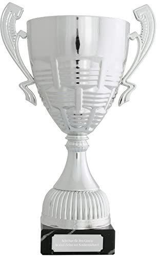 Druckspezialist Pokal Pokalset Colmar Metall Henkel mit Gravur Gravurplatte gravieren (Größe M 29 cm)