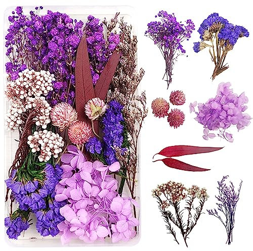 Fleurs séchées naturelles - Décoration artisanale - Bijoux, bougies, nail art, scrapbooking, décoration florale (violet et rouge)