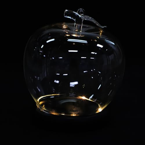 HAPINARY 2pcs Glass Display Dome with Lighting Base and Wooden round Bell Jar Versatile Keepsake Display Case for Cakes and DIY Snow Globes, for Birthdays and Events