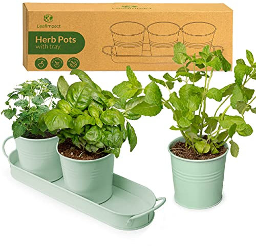 Maceteros para Plantas de Interior con Bandeja | Cultivo de Plantas Aromaticas | Jardineras para el Alféizar de la Ventana | Para Cultivar Albahaca, Menta, Perejil y Más